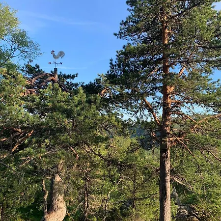 At Kvamskogen With A Great View * Kvam