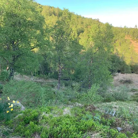 At Kvamskogen With A Great View * Kvam (Hordaland)