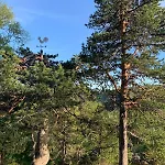 At Kvamskogen With A Great View * Kvam (Hordaland)